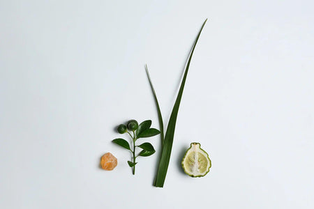Natural Fragrance