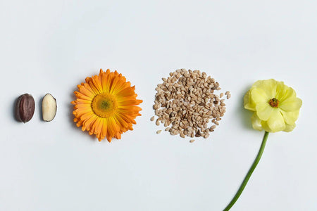Active Ingredients