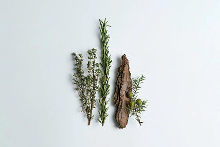 Natural Fragrance