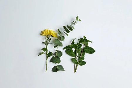 Natural Fragrance