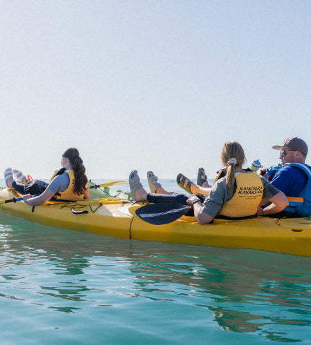 Matt, Kim & Sam's Kiwi Summer Story