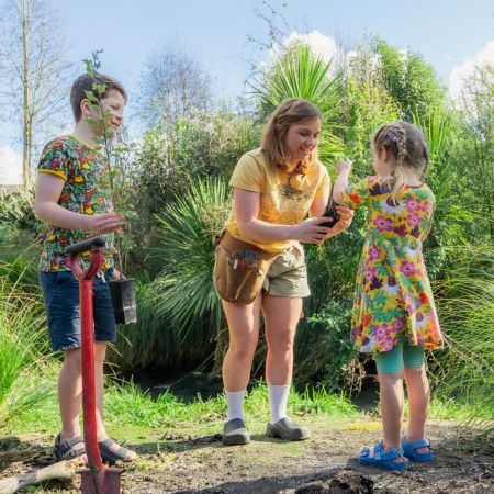 Birkenstock Summer stories banner