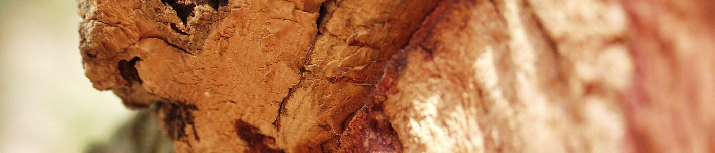 Birkenstock Sustainability banner