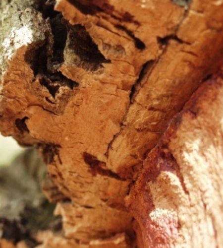 Sustainability block