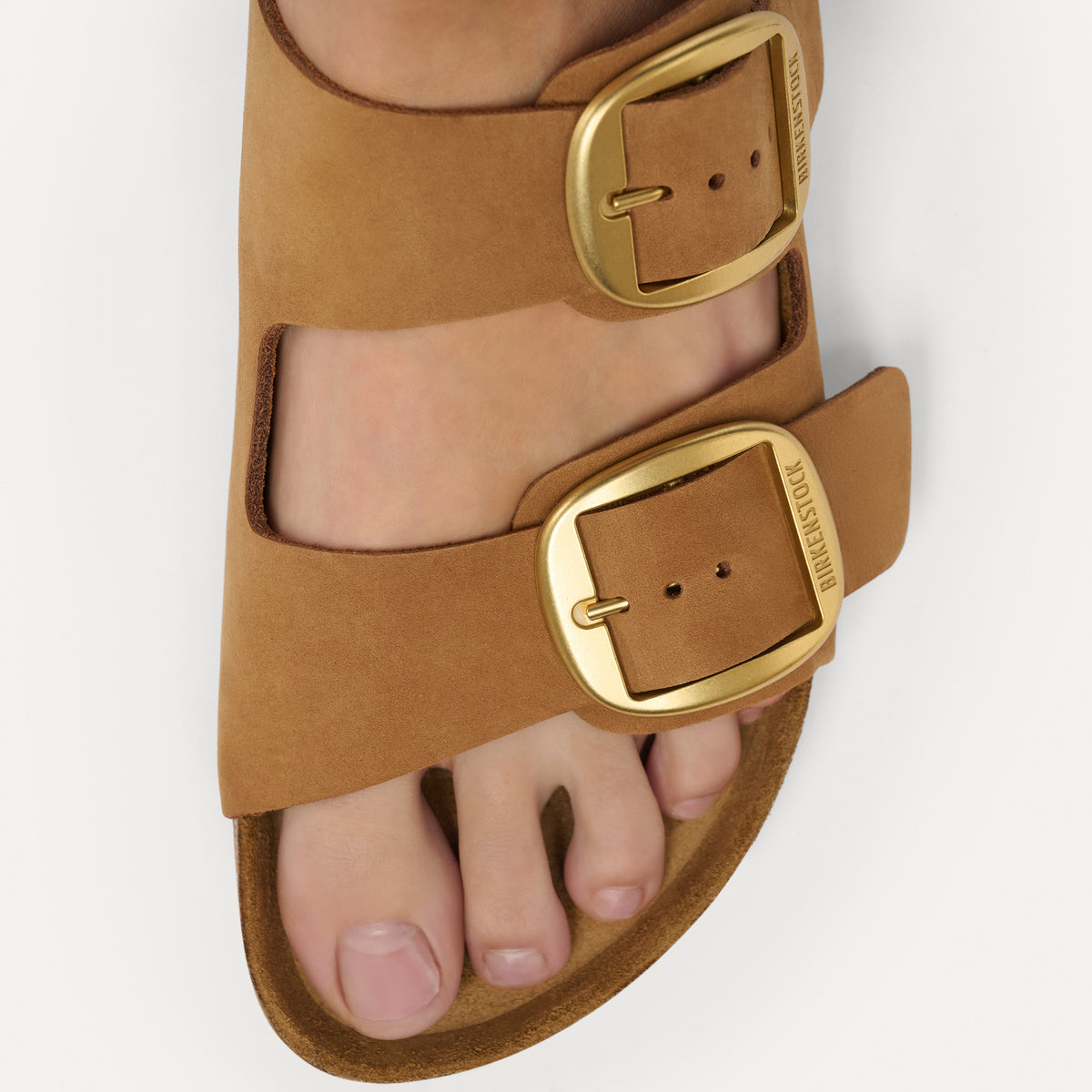 Arizona Big Buckle