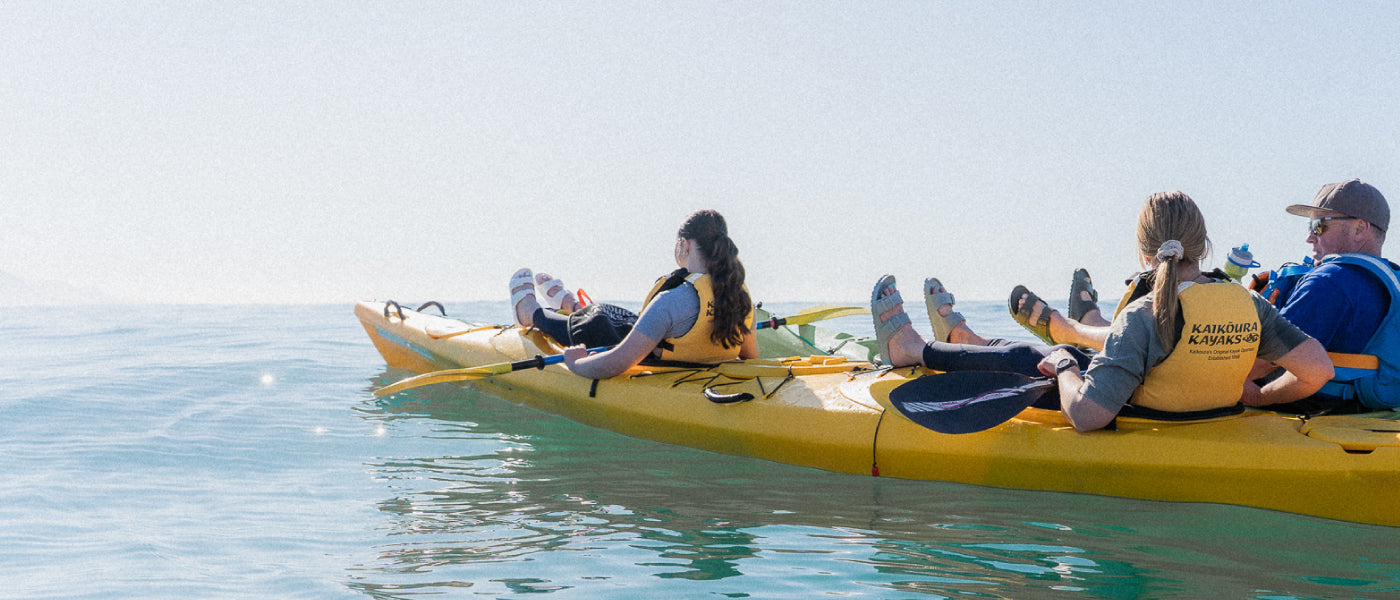 KIWI SUMMER STORIES IN BIRKENSTOCK